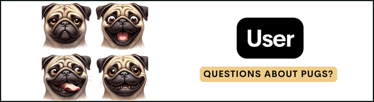 questions users have about pugs