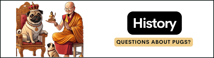 learn all about pug history with popular questions