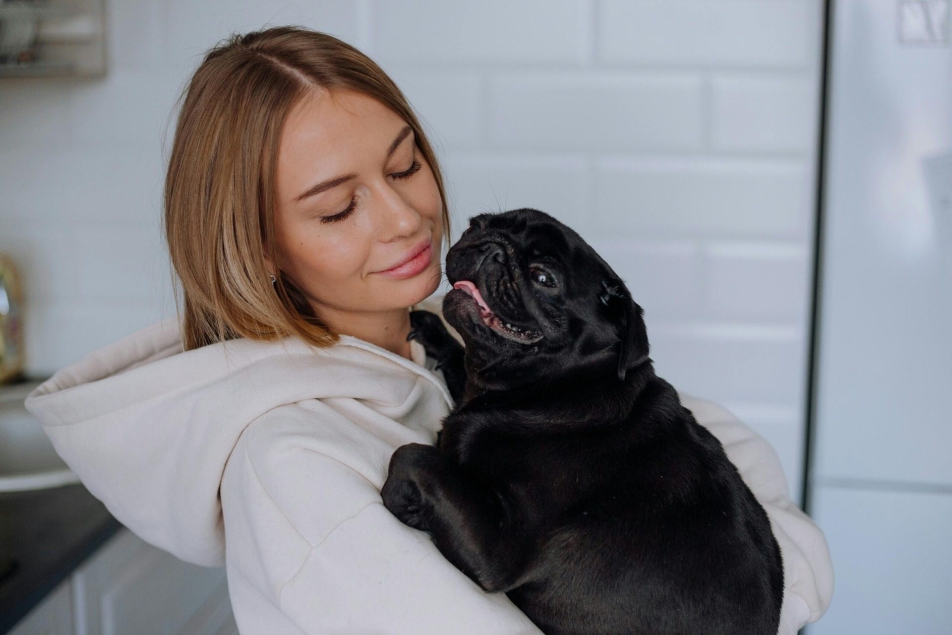 pug socialization tips