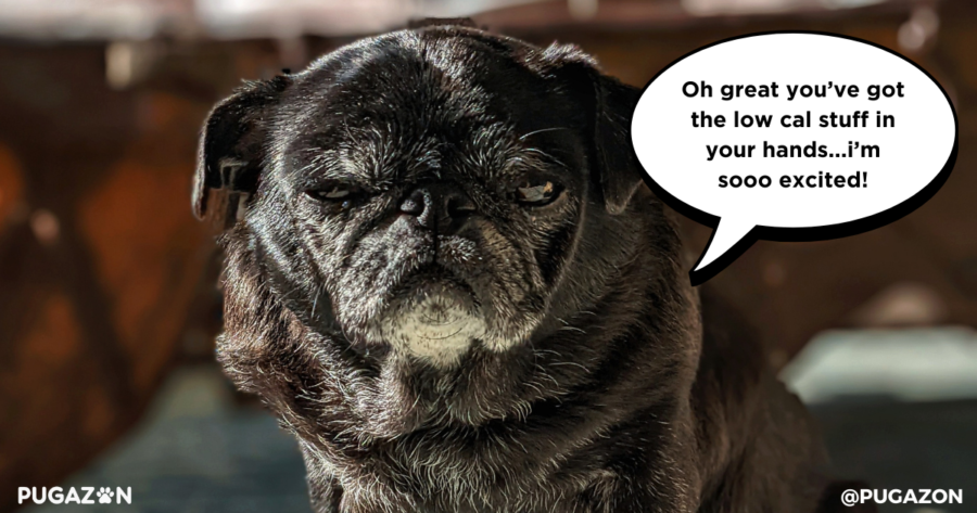 Weight Management Strategies for Pug Obesity