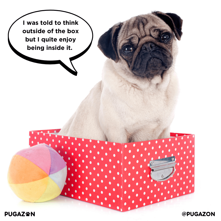 Crate Training Tips for Pug Puppies and Adults