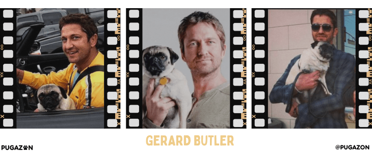 Gerard Butler and Pugs