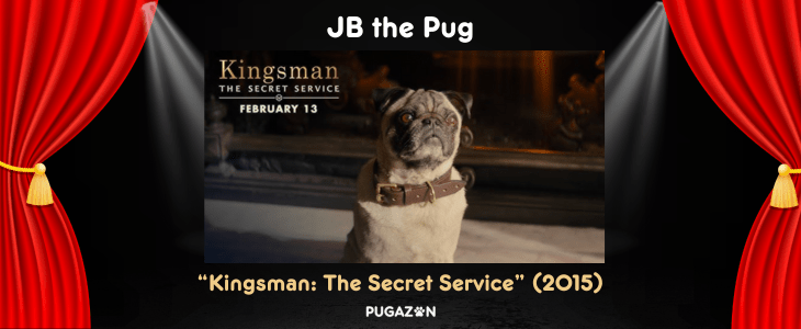 JB the pug from the kingsman movie famous pugs in films