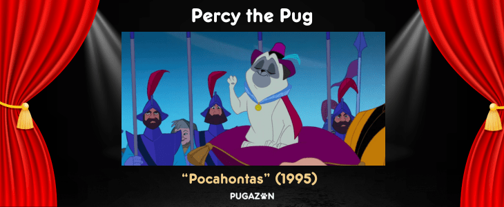 famous Percy the pug from Pocahontas films