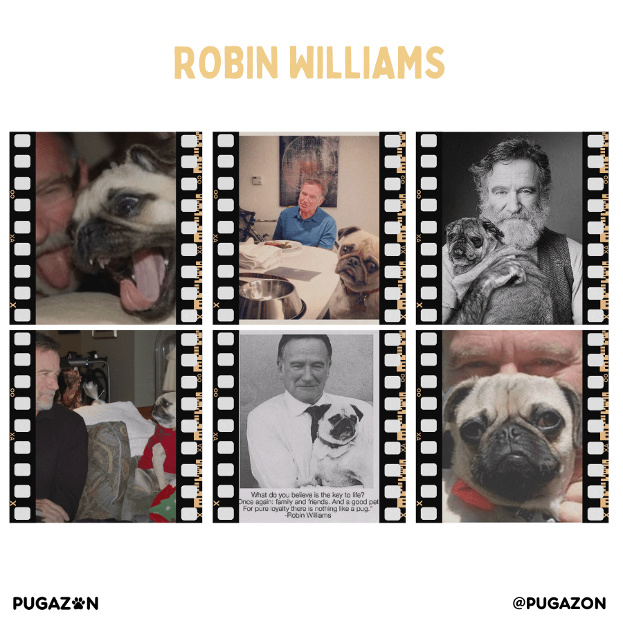 Robin Williams and Pugs