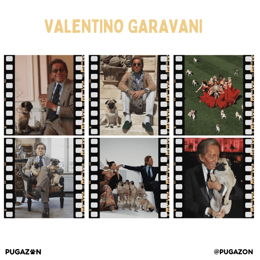 Valentino Garavani fashion icon and Pugs
