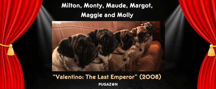Valentinos pugs from the last emperor film