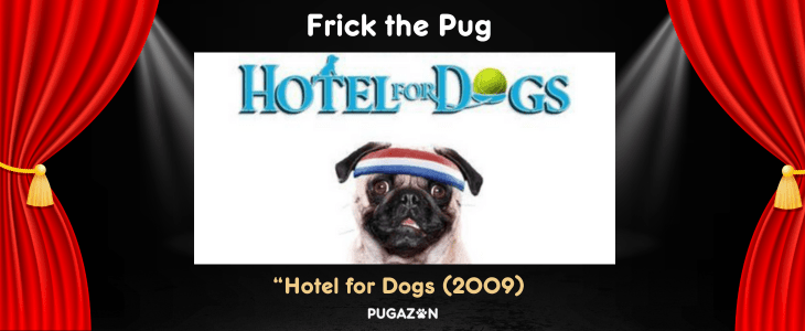 frick the pug from hotel for dogs movie