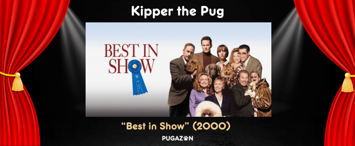 kipper the pug from best in show film about dogs and pugs