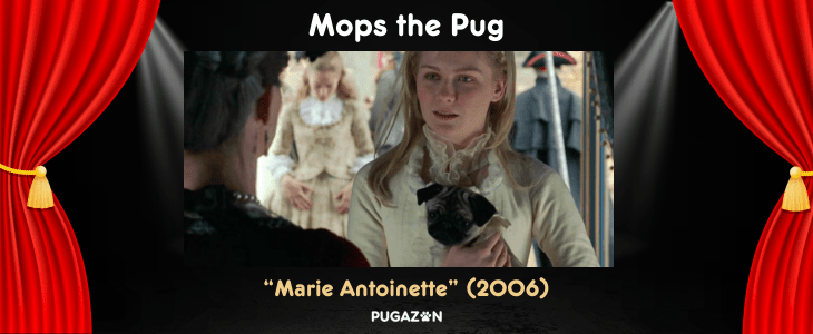 mops the pug from the Marie Antoinette film