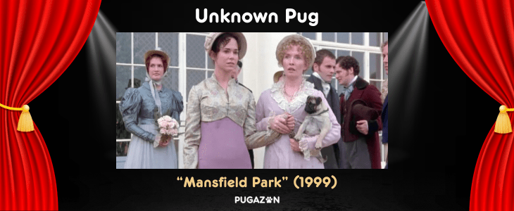 pug from Mansfield park