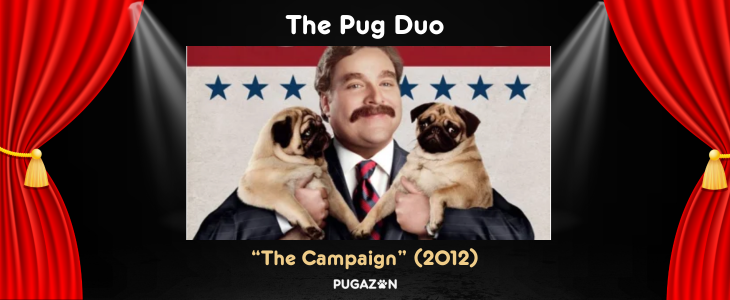 Famous Pugs in Films and Movies: Iconic Roles & Cameos