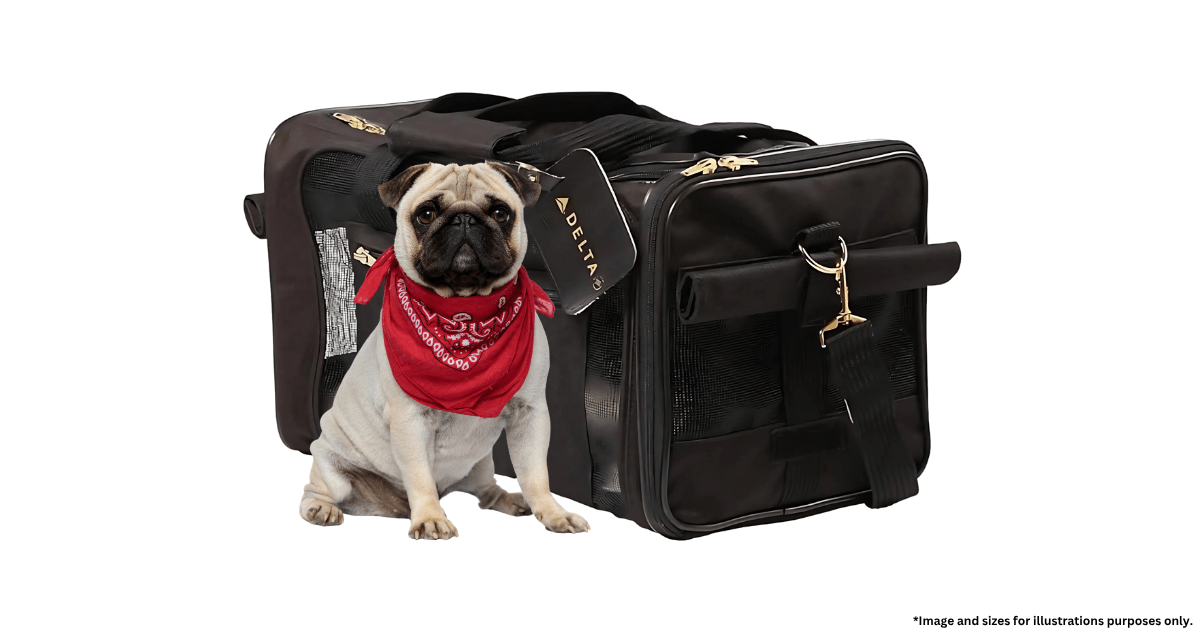 best travel suitcase, bags and airline luggage for travelling with pugs