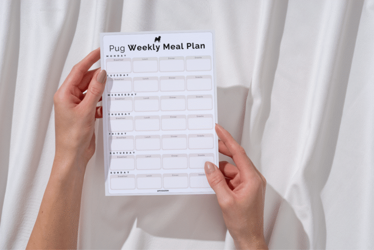 WEEKLY MEAL PLANNER FOR PUGS PRINTABLE PDF TRACKER TEMPLATE FOR ORGANISATION