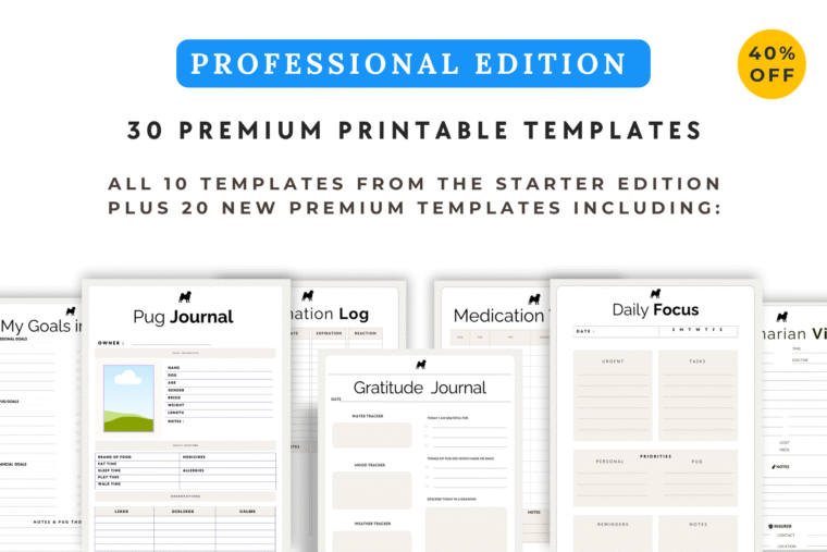 PROFESSIONAL EDITION PLANNER AND TEMPLATE MOCKUPS FOR PUGS AND ORGANISATION