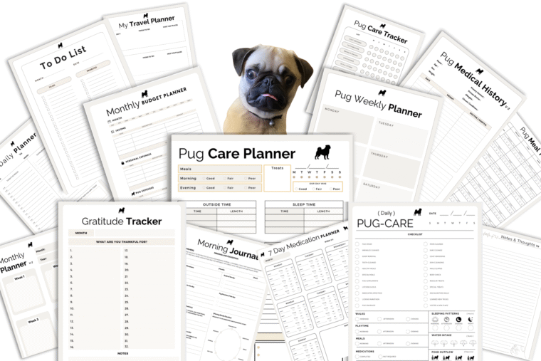 PUG THEMED PRINTABLE PLANNER AND TRACKER PDF TEMPLATES MOCKUP