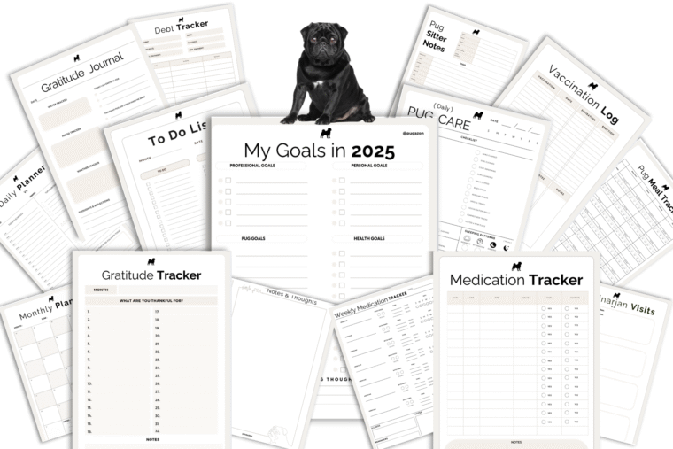 ME AND PUG PACK PROFESSIONAL EDITION MOCKUPS FOR THE PUG DESIGN PRINTABLE PLANNERS AND TRACKERS
