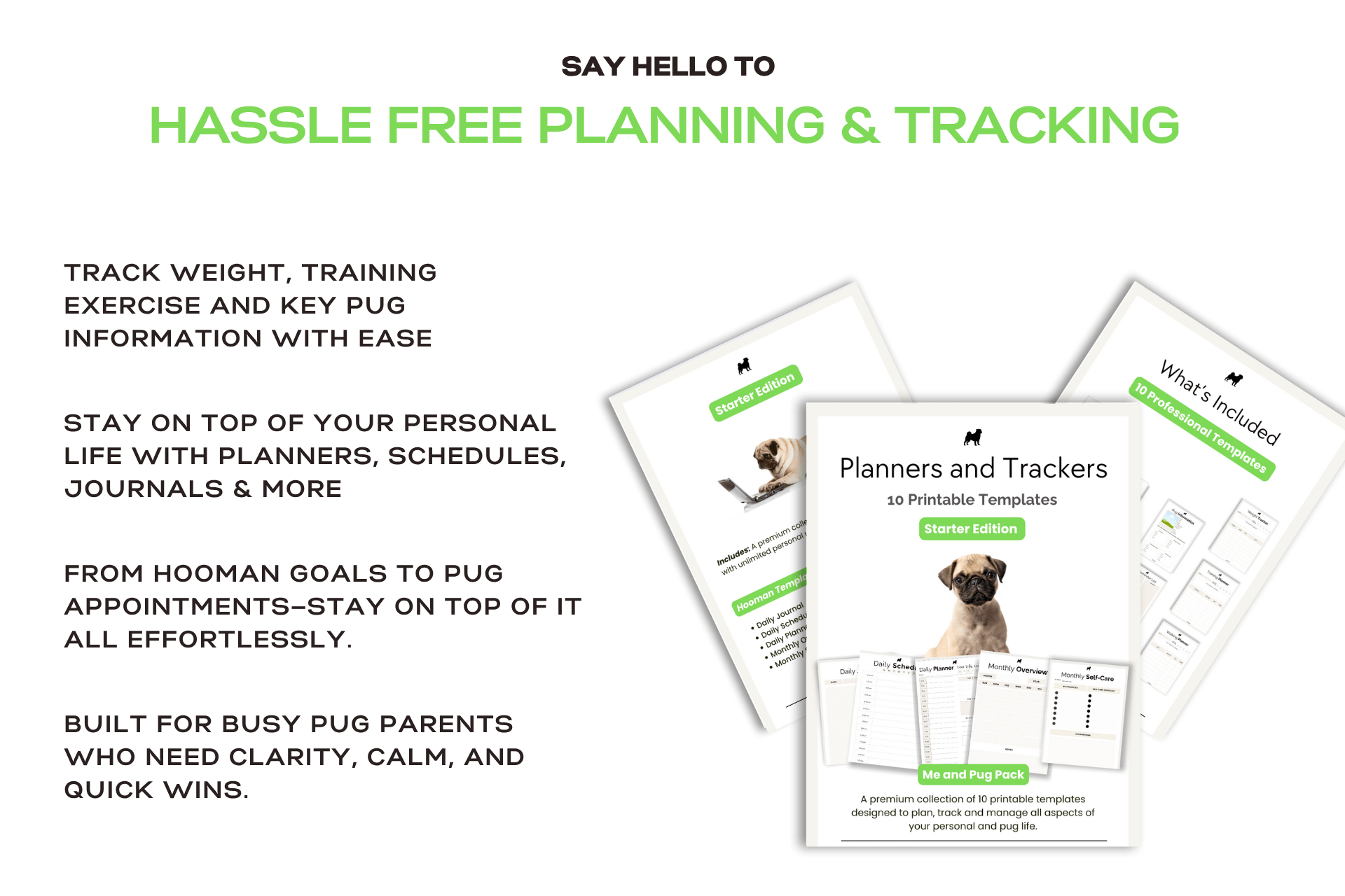 ISSUES THAT THE STARTER EDITION PUG PLANNER SOLVES