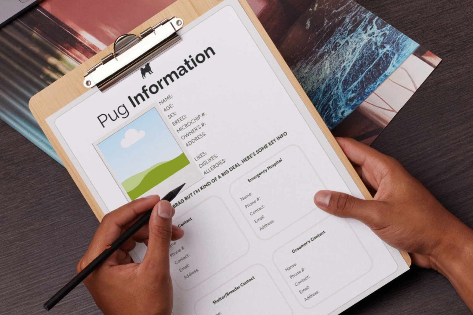 pug information template planner mockup