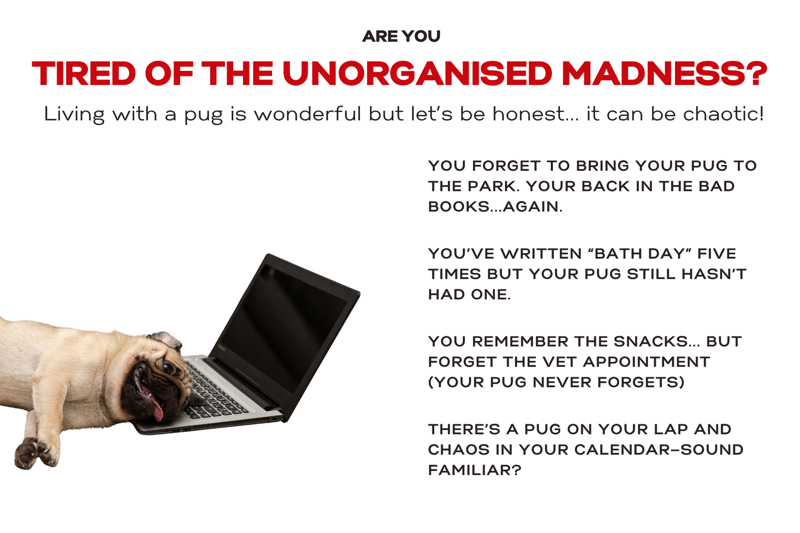problems you face when you are unorganised as a pug parent
