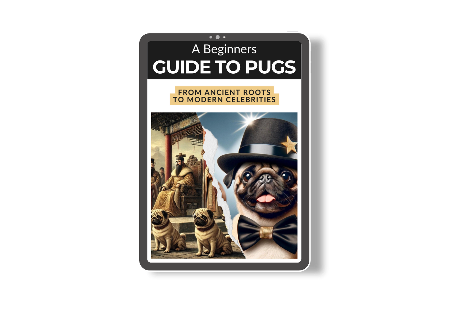 beginners guide to pugs ebook