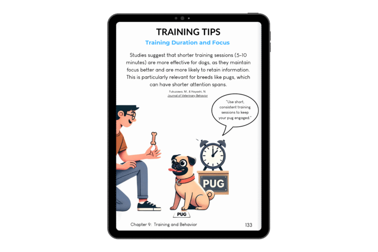 The Beginners Guide to Pugs - From Ancient Roots to Modern Celebrities - Image 7