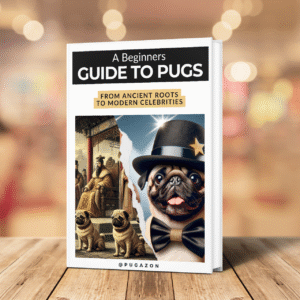 featured image for the beginners guide to pugs ebook
