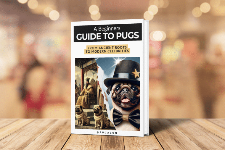 featured image for the beginners guide to pugs ebook