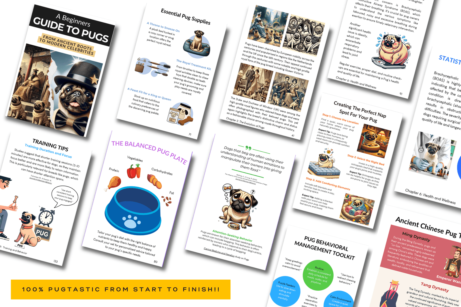 what's inside the beginners guide to pugs ebook