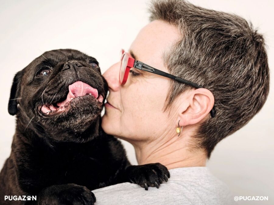happy black pug dog with it's mouth open and tongue sticking out being held by a human with glasses