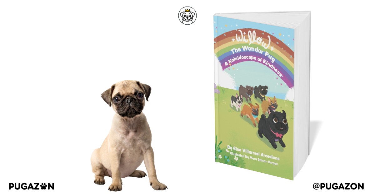 Willow the Wonder Pug