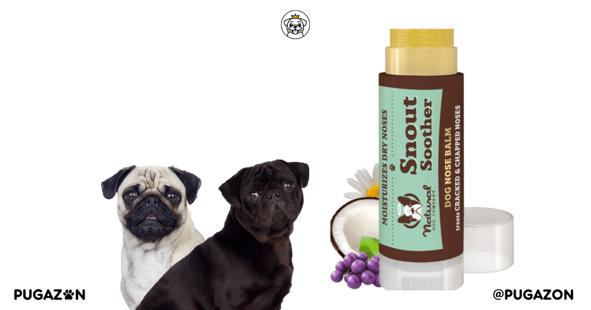 Natural Dog Company Snout Soother