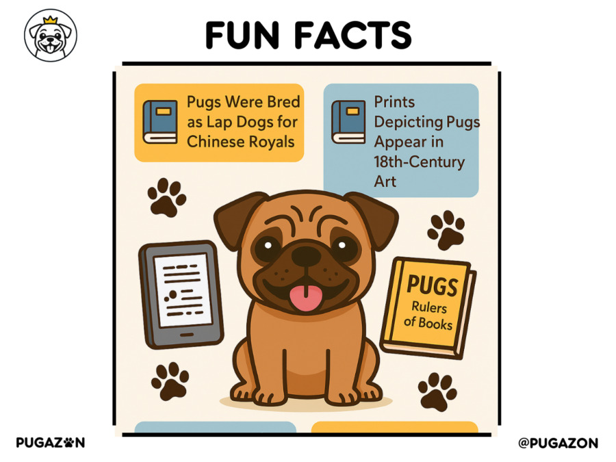 Collection for Pug Lovers, Owners & Kids