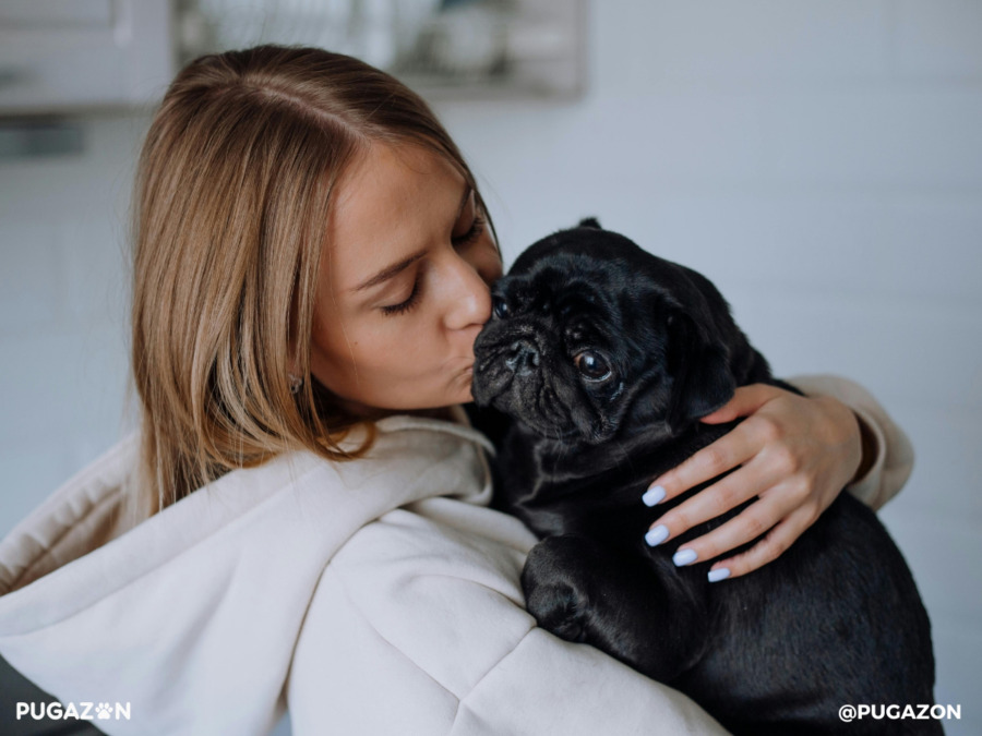 women with a hoodie holding a black coloured pyg with a glossy coat in her arms whilst she kisses it