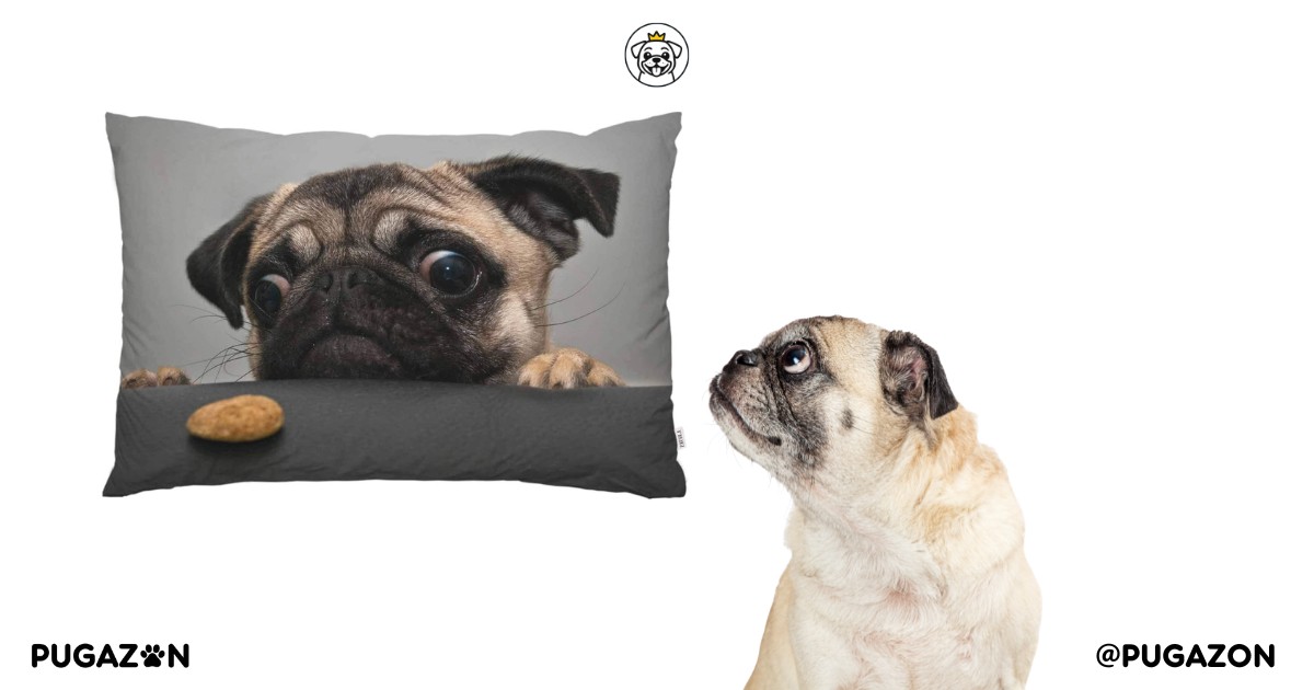 EKOBLA Pug Pillow Cover