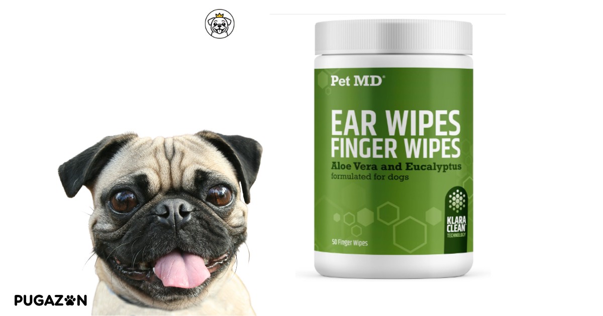 VET CARE AND VACCINATIONS FOR THE CHINESE PUG PUPPY