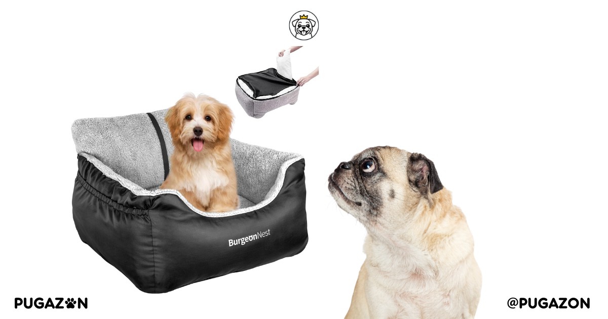 BurgeonNest Dog Car Seat