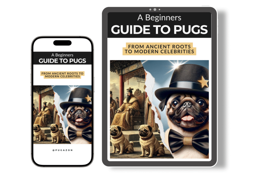 a beginners guide to pugs ebook review