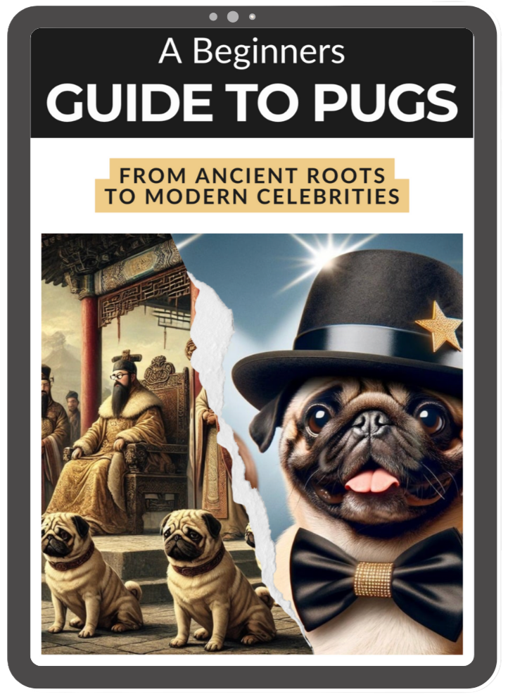 guide to pugs