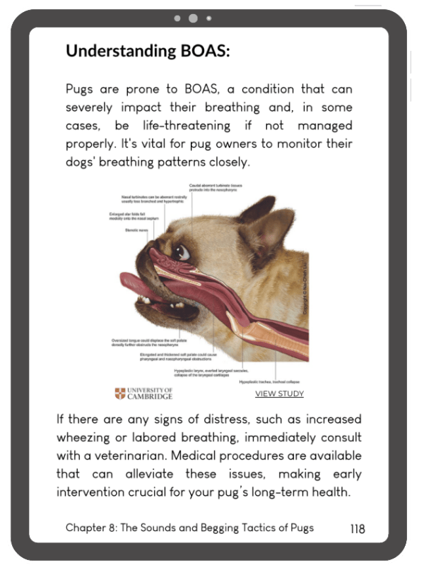 3 ipad graphics 1 (5)