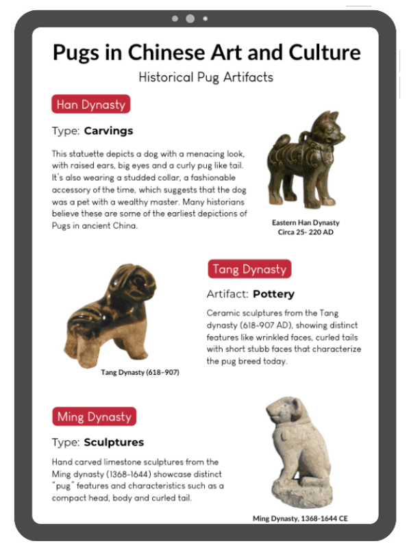 3 ipad graphics 1 (8)