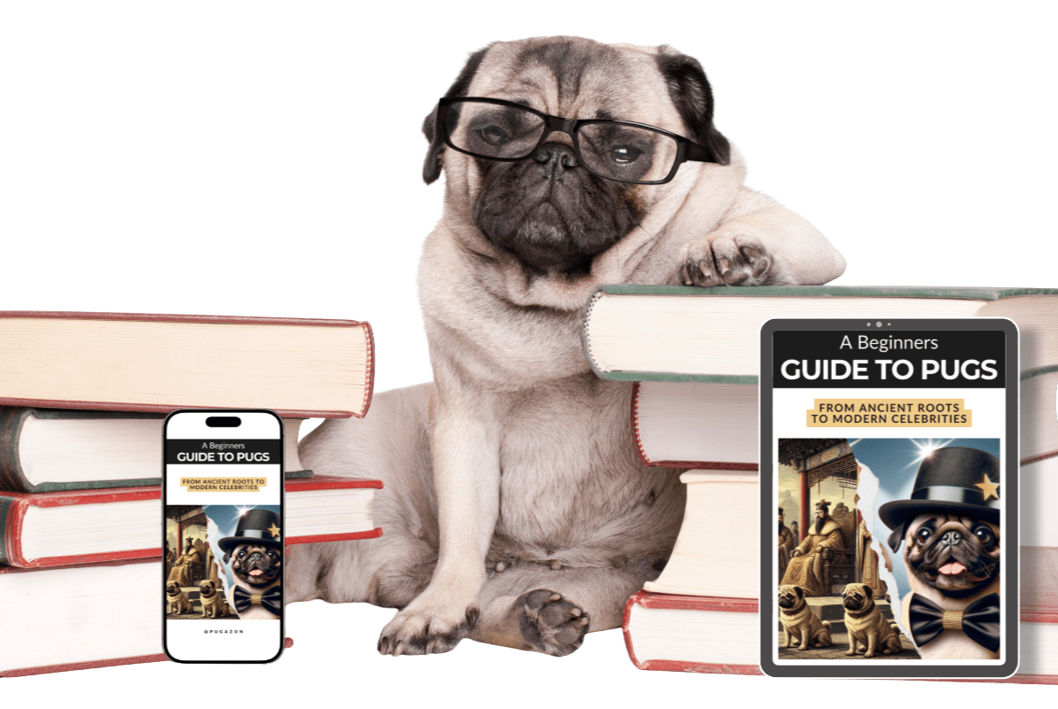 A PUG SURROUNDED BY PUG BOOKS AND THE BEGINNERS GUIDE TO PUGS EBOOK