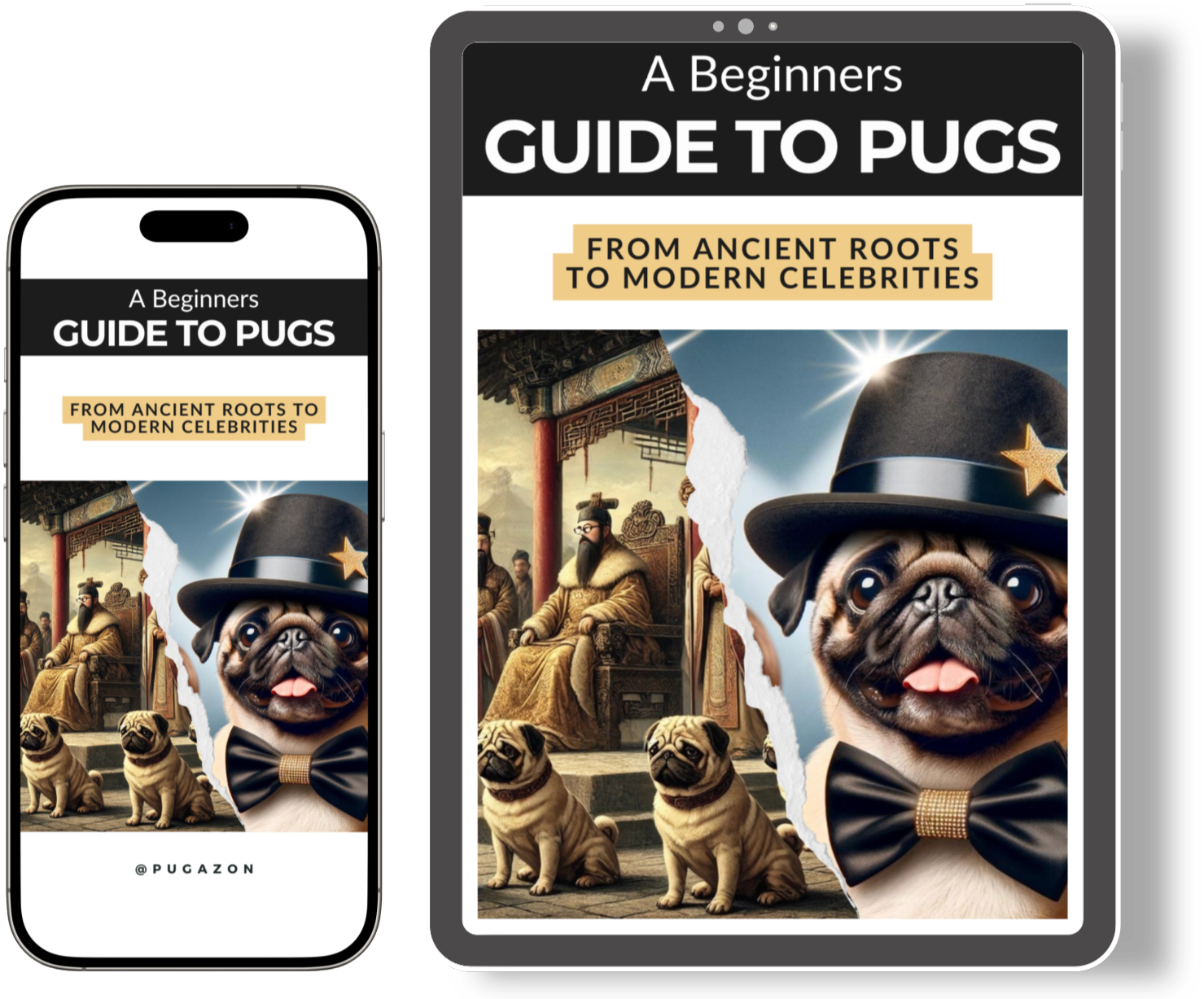 beginners guide to pugs on smart phone and tablet