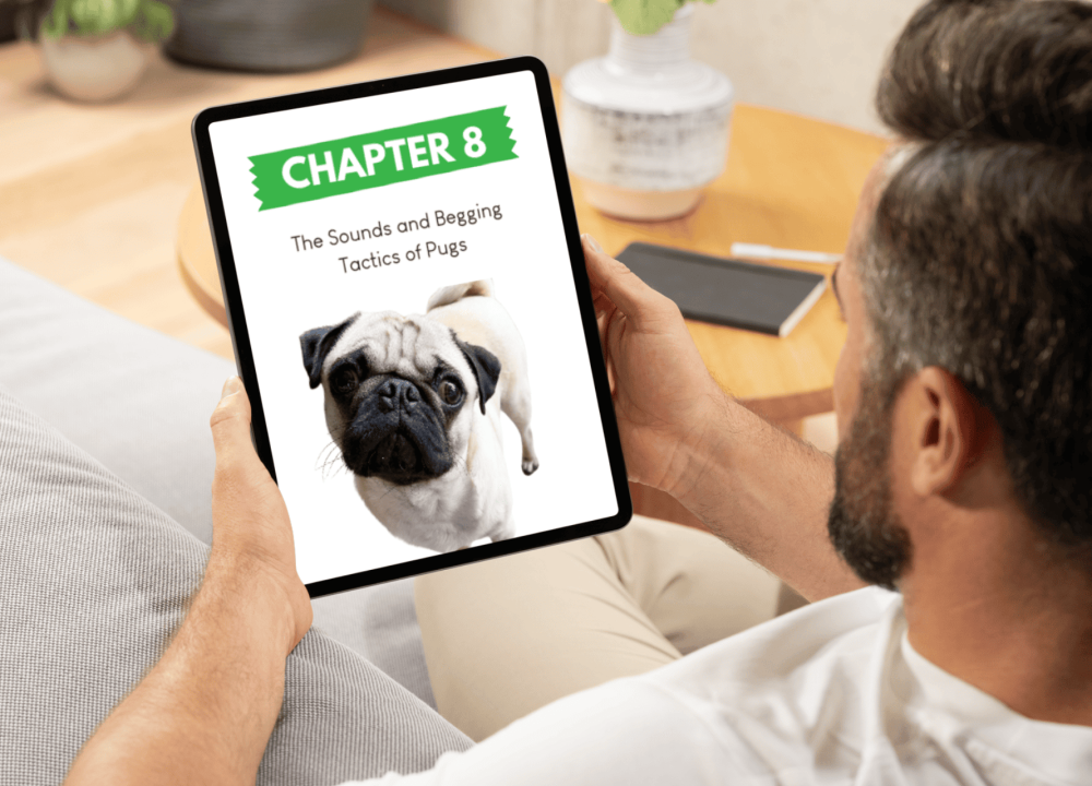 FEATURED CHAPTER 3