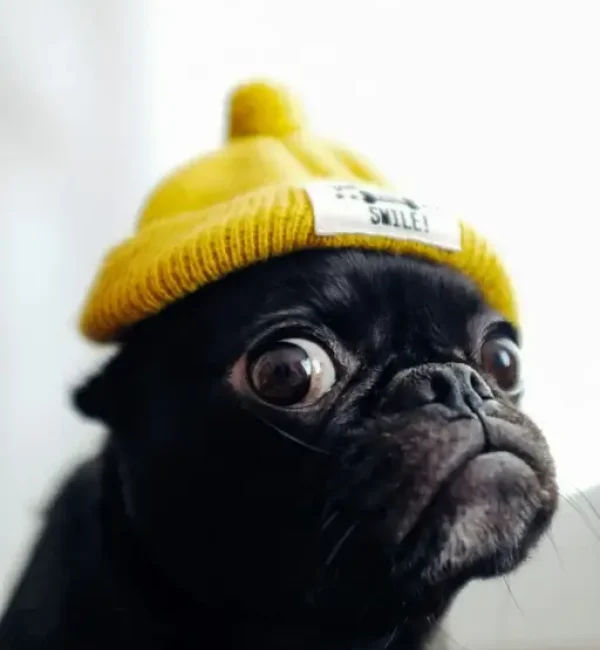 toshi-K5pLGYJMHKk-unsplash-2